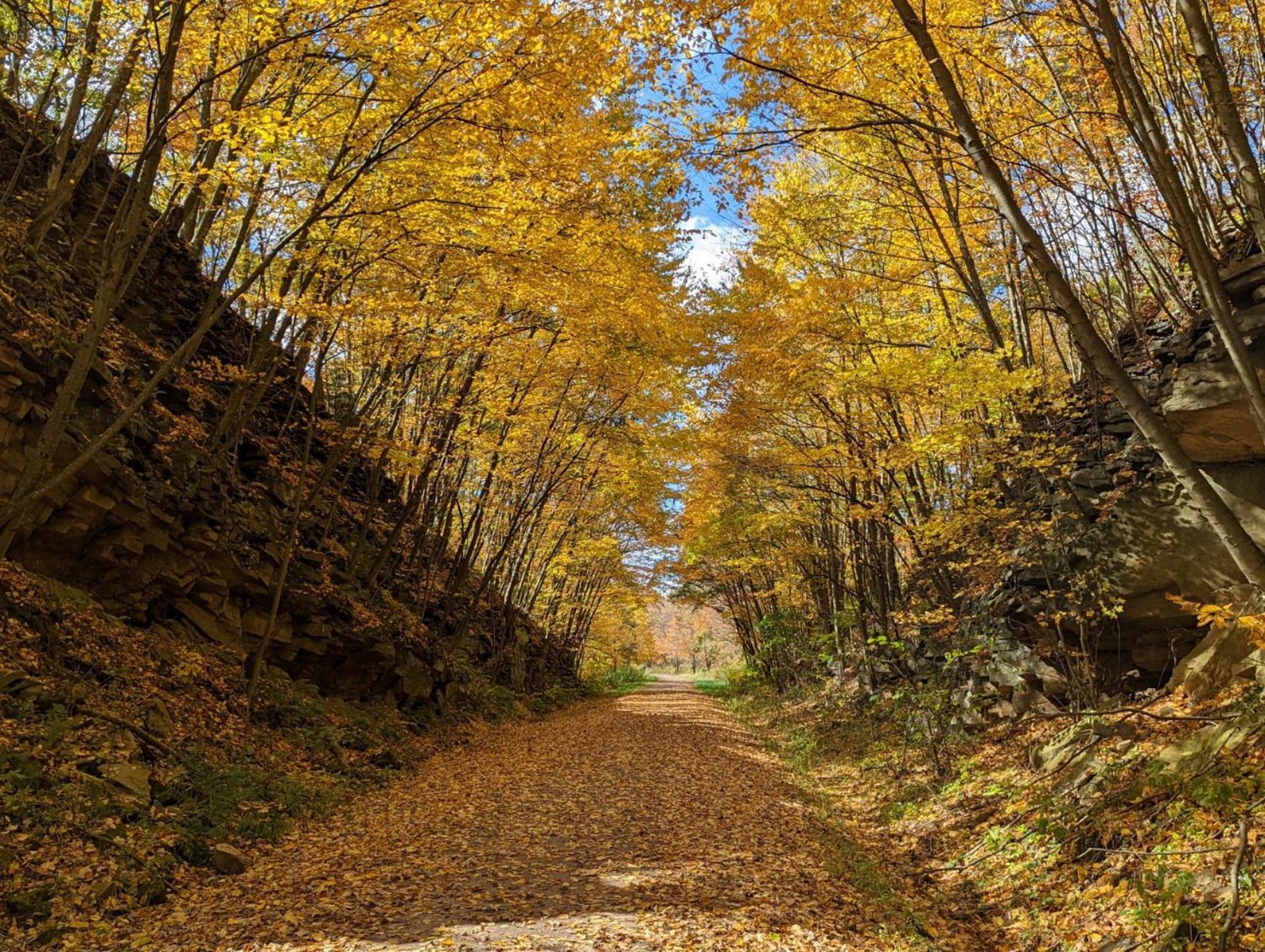 Stay In Ohiopyle Near Everything Including The Trail, Ohiopyle Pa Farmington Exteriér fotografie